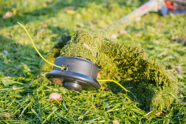 Seorang Pria Musim Panas Memotong Rumput Dengan Pemangkas Atau Mesin — Stok Foto