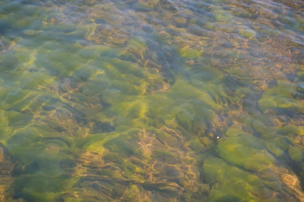 Прозрачная Осенняя Вода Маленьком Озере — стоковое фото