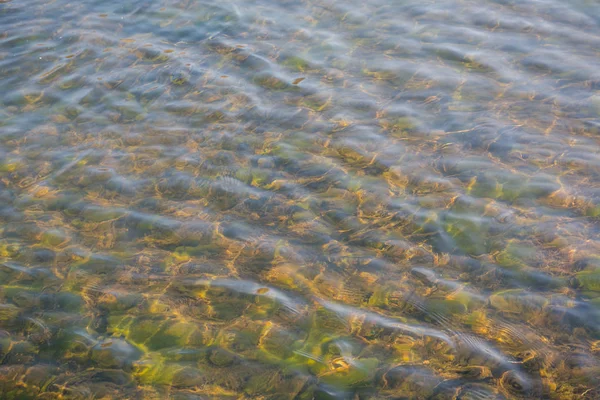 Διαφανή Φθινόπωρο Νερό Μια Μικρή Λίμνη — Φωτογραφία Αρχείου
