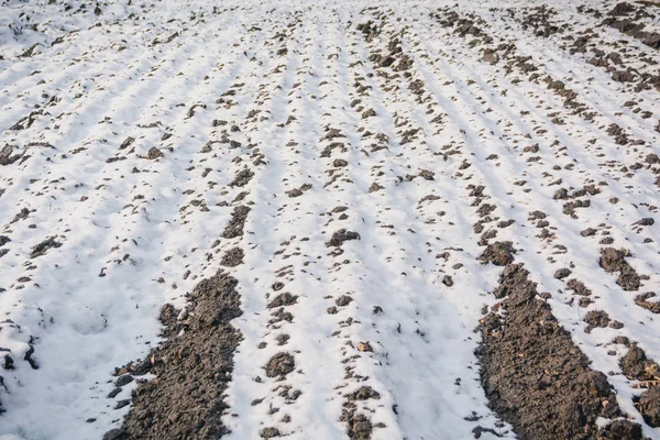 The earth under snow. Half of the earth under snow. Snow thaws from the field.