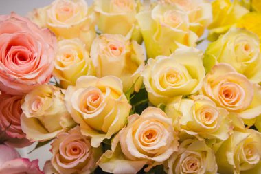 Sarı güller. Sarı gül çok. Gül demetleri.