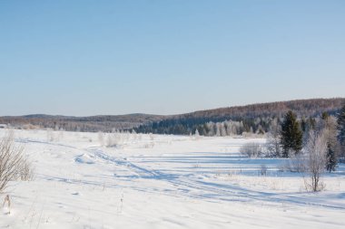 Tayga ahşap kış. Kış tayga. Rusya'nın kışın Sibirya ahşap.