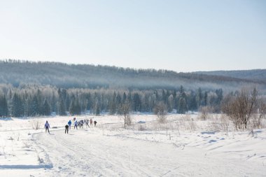 Dağ slayttan kayakçı grubudur. Dağda slayt için kayakçı. Kayakçı ve kayaklar. Kış eğlenceleri kayaklar üzerinde