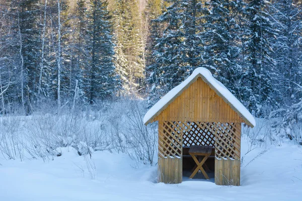 Taigaholz Winter Wintertaiga Der Sibirische Wald Winter Russland — Stockfoto