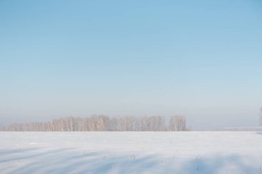 Karlı alan kış manzarası. Soğuk gün. Rus Kış Doğa. Bol karlı alanında