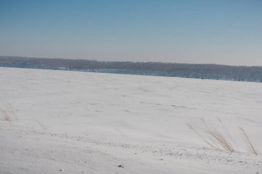 Bir alan içinde belgili tanımlık kar. Kış manzarası. Bir sürü kar. Kış alan.