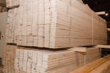 Kereste izmaritler. Tahtalar üst üste yığılmış. Avro yarışı, engelleme, kereste emisyonu. Bir sürü kereste..