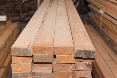 Ahşap Komiteler bir yığın halinde. Çam panoları. Bir sürü kereste. Ambar ahşap panoları.