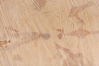 Ağacın sonunun dokusu. Odun keserken gördüm. Yerler pürüzlü. Ahşap arka. Ağacın sonu..