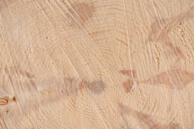 Ağacın sonunun dokusu. Odun keserken gördüm. Yerler pürüzlü. Ahşap arka. Ağacın sonu..