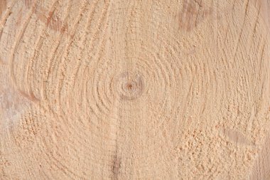 Ağacın sonunun dokusu. Odun keserken gördüm. Yerler pürüzlü. Ahşap arka. Ağacın sonu..