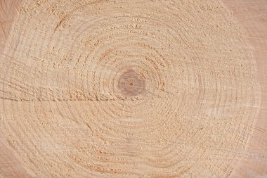 Ağacın sonunun dokusu. Odun keserken gördüm. Yerler pürüzlü. Ahşap arka. Ağacın sonu..