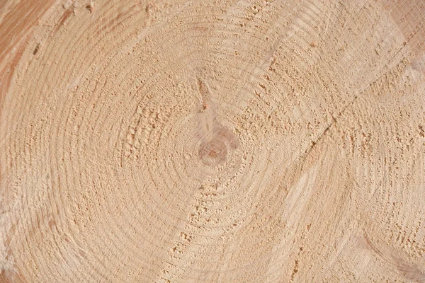 Textura Extremidade Árvore Madeira Cortada Perto Madeira Áspera Chão Fundo — Fotografia de Stock