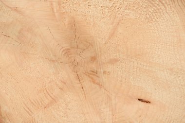 Ağacın sonunun dokusu. Odun keserken gördüm. Yerler pürüzlü. Ahşap arka. Ağacın sonu..