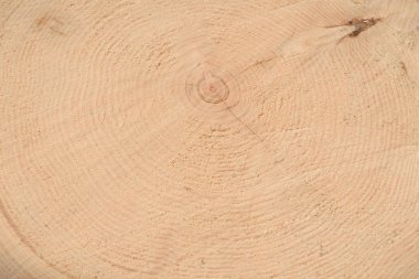 Ağacın sonunun dokusu. Odun keserken gördüm. Yerler pürüzlü. Ahşap arka. Ağacın sonu..