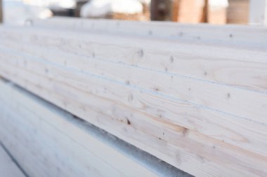 Arka plan panoları yığını. Panoları portre. Ahşap doku. Arka plan ağaç.