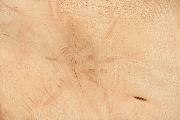 Ağacın sonunun dokusu. Odun keserken gördüm. Yerler pürüzlü. Ahşap arka. Ağacın sonu..