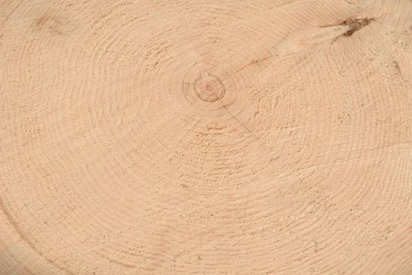 Ağacın sonunun dokusu. Odun keserken gördüm. Yerler pürüzlü. Ahşap arka. Ağacın sonu..