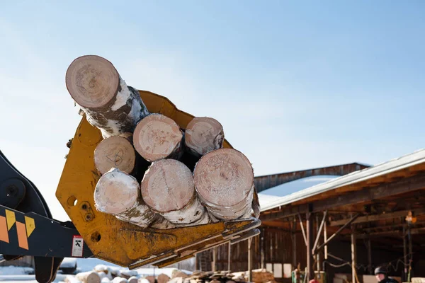 Traktör günlükleri yükler. Elinden alınan günlükleri. Manipülatör günlükleri yükler. Ağaçları kesti. Kamyonda günlükleri