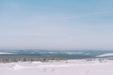 Kış orman. Mesafe kışın ormanda. Kışın Sibirya.