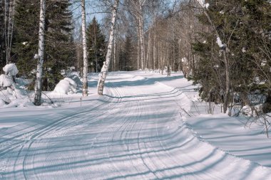 Kayak izi ormanın içinde. Snowcat izleri. Ormanda kayak için iz. Bir atlet için kış orman.