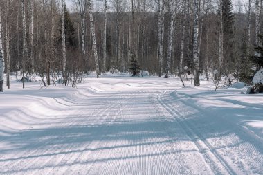 Kayak izi ormanın içinde. Snowcat izleri. Ormanda kayak için iz. Bir atlet için kış orman.