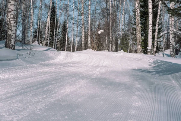 Sendero de esquí en el bosque. Rastros del gato de nieve. Sendero para esquiar en el bosque. Bosque de invierno para un atleta . — Foto de Stock