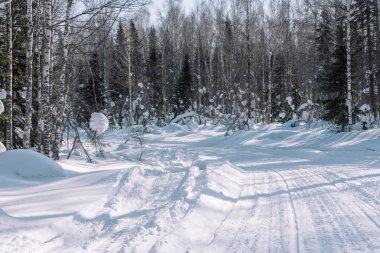 Kış yol ormanın içinde. Kış manzarası. Ağaçlar yol boyunca karda.