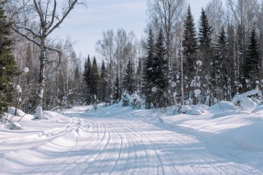 Kış yol ormanın içinde. Kış manzarası. Ağaçlar yol boyunca karda.