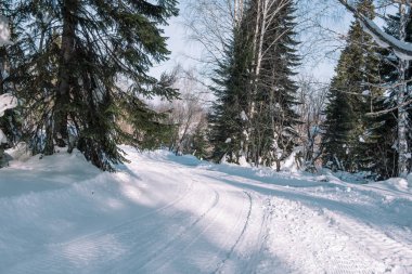 Kış yol ormanın içinde. Kış manzarası. Ağaçlar yol boyunca karda.