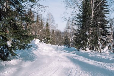 Kış yol ormanın içinde. Kış manzarası. Ağaçlar yol boyunca karda.