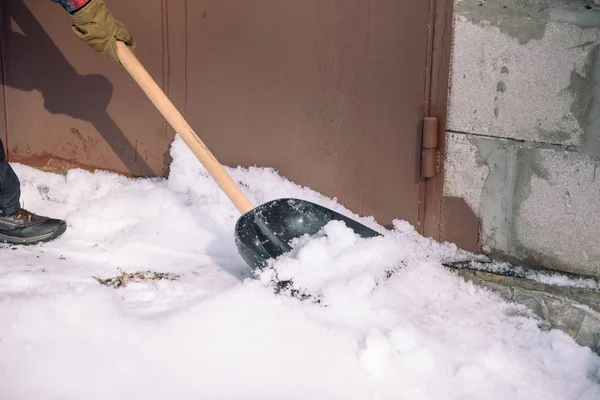 Clean the snow with a shovel. The man shovels snow shovels. Snow shovel in hand. Cleaning the area in the winter.
