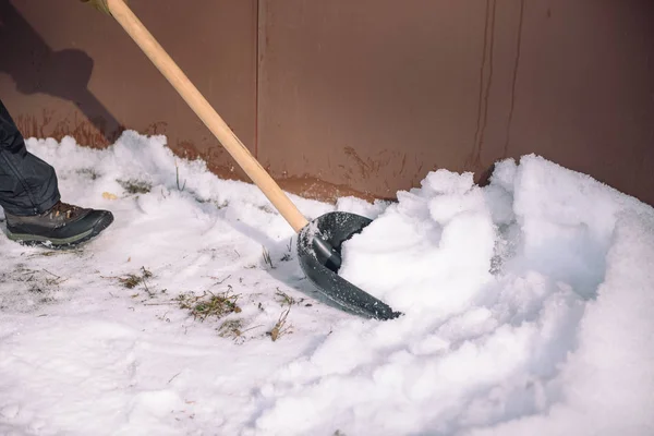 Очистите снег лопатой. Человек убирает лопаты со снега. Снежная лопата в руке. Очистка территории зимой . — стоковое фото