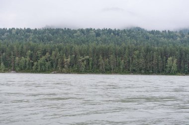 Altay Dağları'nın manzarası. Eteklerin manzarası. Bulutlar dağlara indi. Altay'ın saf vahşi yaşamı. Katun Nehri manzarası.