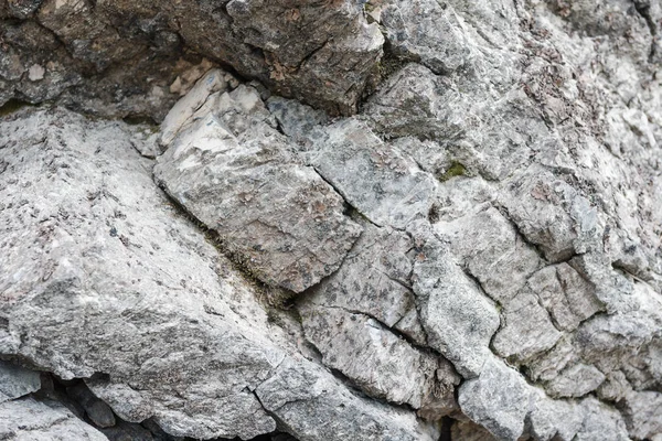 Taşlar yakın çekim. Taşın yapısı. Büyük taşlar kıyıda yatıyor. Çatlaklarda gri taşlar.