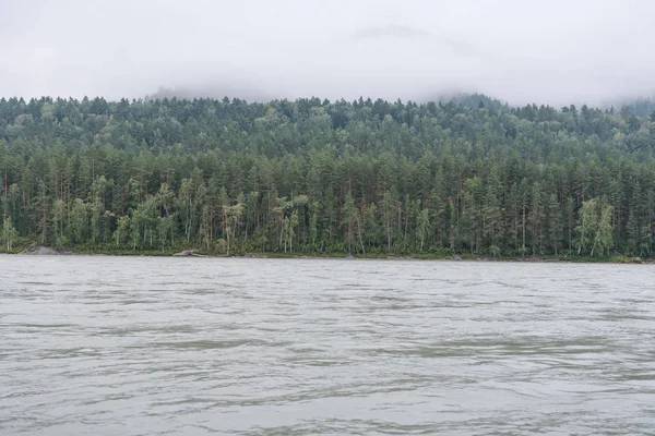Altay Dağları'nın manzarası. Eteklerin manzarası. Bulutlar dağlara indi. Altay'ın saf vahşi yaşamı. Katun Nehri manzarası.