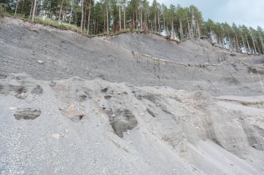 Taş ocağı. Mayın taşı. Ormanın altındaki taş ocağı. Çam ormanı bir taş ocağının üzerinde. küçük taş.