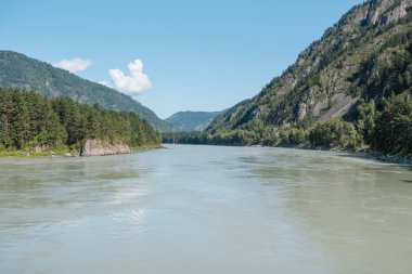 dağların arasında nehir. dağların güzel görünümü. Rusya'nın doğası. Altay'daki dağlar. dağlarda çam ormanı. nehirde su.