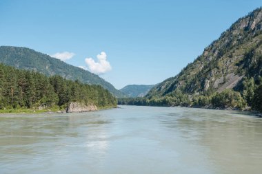 dağların arasında nehir. dağların güzel görünümü. Rusya'nın doğası. Altay'daki dağlar. dağlarda çam ormanı. nehirde su.