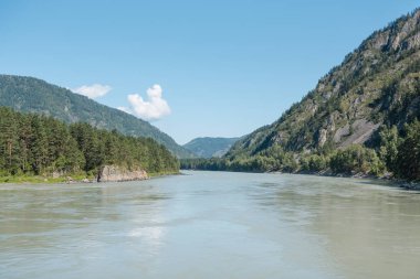 dağların arasında nehir. dağların güzel görünümü. Rusya'nın doğası. Altay'daki dağlar. dağlarda çam ormanı. nehirde su.