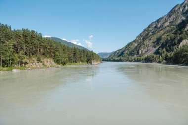 dağların arasında nehir. dağların güzel görünümü. Rusya'nın doğası. Altay'daki dağlar. dağlarda çam ormanı. nehirde su.