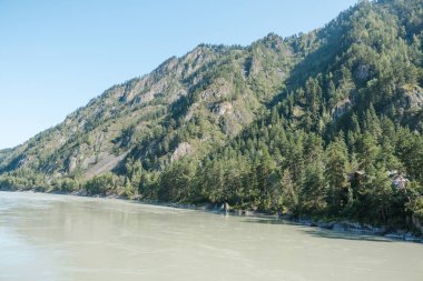 dağların arasında nehir. dağların güzel görünümü. Rusya'nın doğası. Altay'daki dağlar. dağlarda çam ormanı. nehirde su.