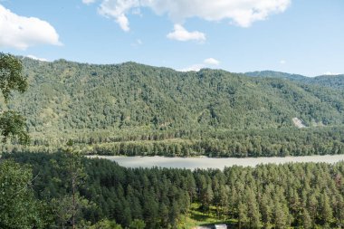dağların arasında nehir. dağların güzel görünümü. Rusya'nın doğası. Altay'daki dağlar. dağlarda çam ormanı. nehirde su.