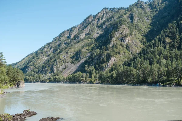 dağların arasında nehir. dağların güzel görünümü. Rusya'nın doğası. Altay'daki dağlar. dağlarda çam ormanı. nehirde su.