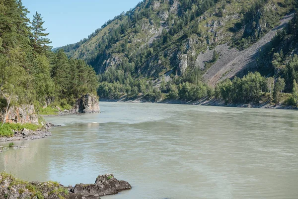 dağların arasında nehir. dağların güzel görünümü. Rusya'nın doğası. Altay'daki dağlar. dağlarda çam ormanı. nehirde su.