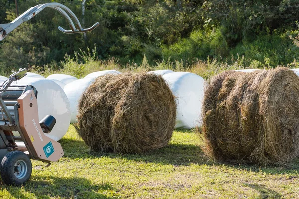 hay in the package. straw in the package. feed for the cow in the package.