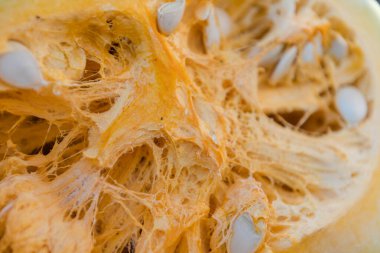 Balkabağı hamuru yakından. Balkabağı çekirdeği. Kesikte balkabağı var. Balkabaklarının güz hasadı.