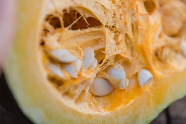 Balkabağı hamuru yakından. Balkabağı çekirdeği. Kesikte balkabağı var. Balkabaklarının güz hasadı.