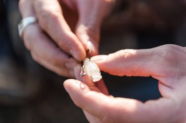 Balıkçı silikon yem takar. Balık avı. Silikon dişli. Balık tutma aracı.