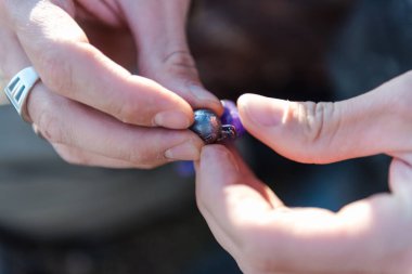 Balıkçı silikon yem takar. Balık avı. Silikon dişli. Balık tutma aracı.